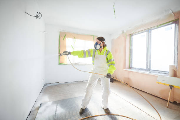 Mold Remediation for Rental Properties in Santa Cruz, CA