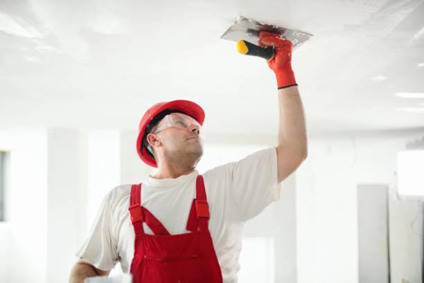 Reliable Santa Cruz, CA Mold Removal Solutions